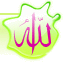 Aucun message non lu
